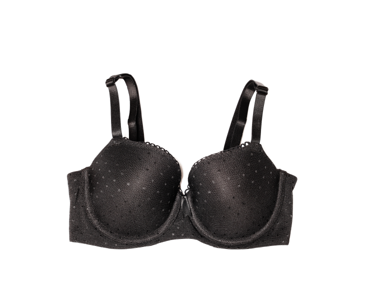 1b023bf4-ba6f-11f0-bd24-36b32408937b חזיית רשת עם נקודות זהב – תמונה 1